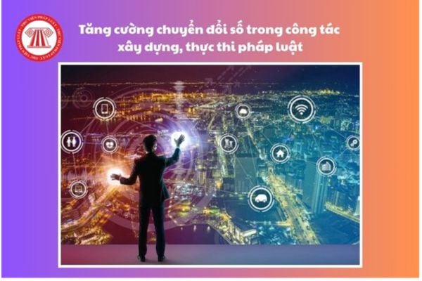 Pháp luật