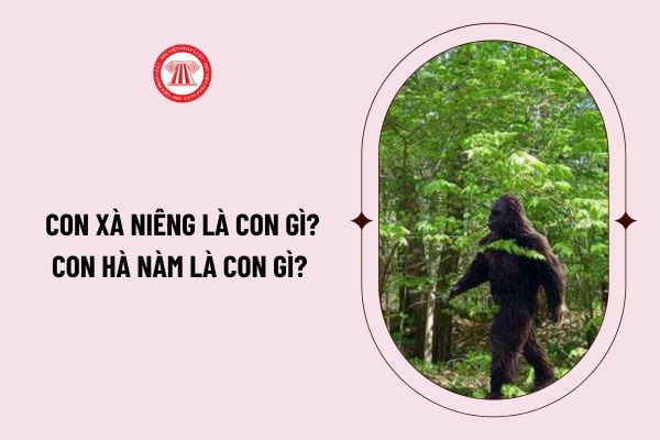 Con xà niêng là con gì? con hà nàm là con gì? Các nhóm thuộc danh mục thực vật rừng, động vật rừng nguy cấp, quý, hiếm?