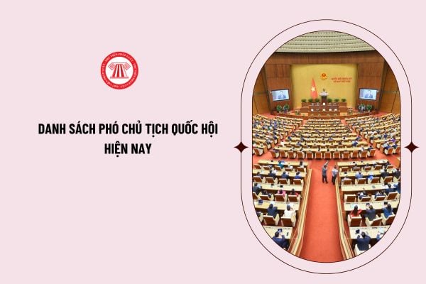 Danh sách phó chủ tịch Quốc hội hiện nay cập nhật năm 2024 là ai? Tiêu chuẩn cần đáp ứng của Phó Chủ tịch Quốc hội là gì?