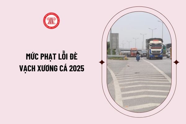 Mức phạt lỗi đè vạch xương cá 2025 là bao nhiêu? Quy định về vạch xương cá cần phải nắm rõ?