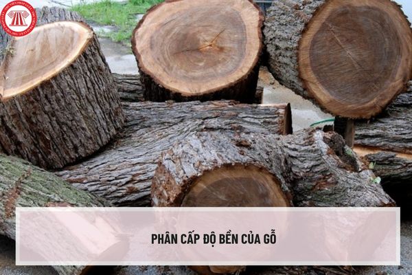 TCVN 12716:2019 Hướng dẫn phân cấp độ bền của gỗ dùng trong các điều kiện sử dụng như thế nào?