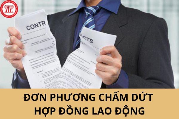 Công ty có quyền đơn phương chấm dứt hợp đồng khi người lao động cung cấp thông tin không trung thực khi giao kết hợp đồng lao động không?