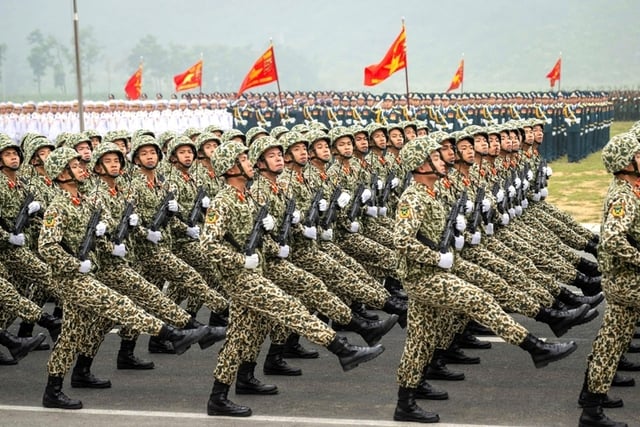 Pháp luật