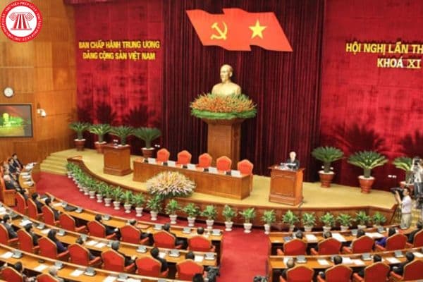 Pháp luật