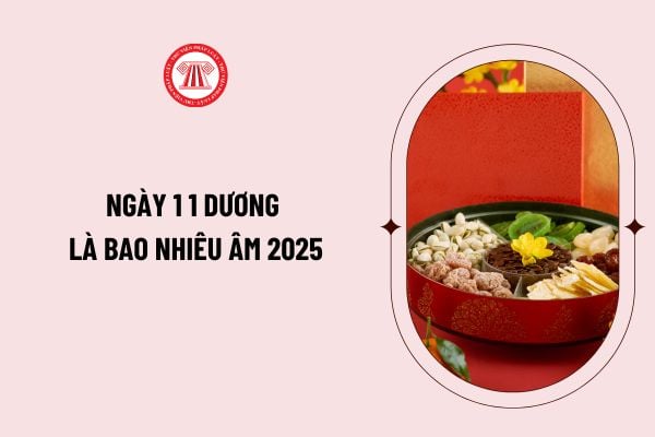 Ngày 1 1 dương rơi vào ngày 2 tháng 12 năm 2024 âm lịch