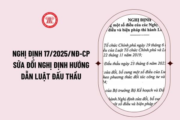 Nghị định 17/2025/NĐ-CP sửa đổi các Nghị định hướng dẫn Luật Đấu thầu 2023 mới như thế nào?