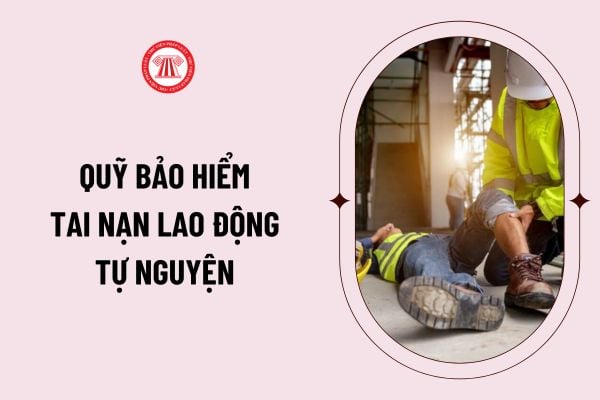 Từ ngày 1/1/2025, quỹ bảo hiểm tai nạn lao động tự nguyện hoạt động theo nguyên tắc nào?