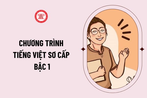 Mức độ cần đạt của người Việt Nam ở nước ngoài khi học Chương trình Tiếng Việt  sơ cấp bậc 1 như thế nào?