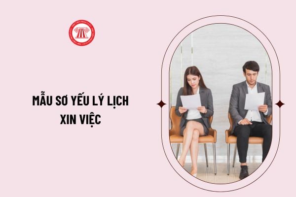 Mẫu sơ yếu lý lịch xin việc file word năm 2025 chuẩn? Hướng dẫn điền sơ yếu lý lịch xin việc chi tiết?