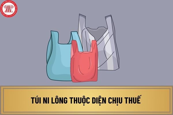 Túi ni lông thuộc diện chịu thuế nhưng do hộ kinh doanh trực tiếp xuất khẩu thì có chịu thuế môi trường không?