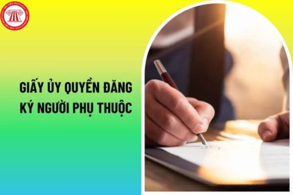 Hướng dẫn cách lập giấy ủy quyền đăng ký người phụ thuộc chi tiết mới nhất 2024 như thế nào?