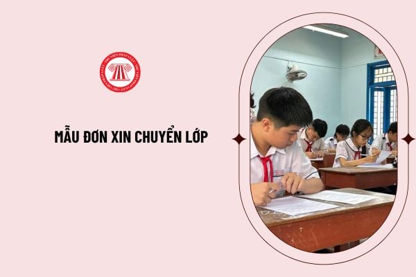 Mẫu đơn xin chuyển lớp mới nhất 2024? Hướng dẫn cách viết lý do đơn xin chuyển lớp thuyết phục?