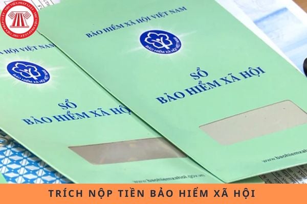 Pháp luật