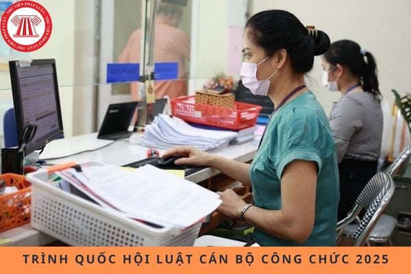 Pháp luật