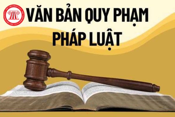 Số, ký hiệu văn bản quy phạm pháp luật được sắp xếp theo thứ tự nào? 06 nguyên tắc xây dựng, ban hành văn bản quy phạm pháp luật?