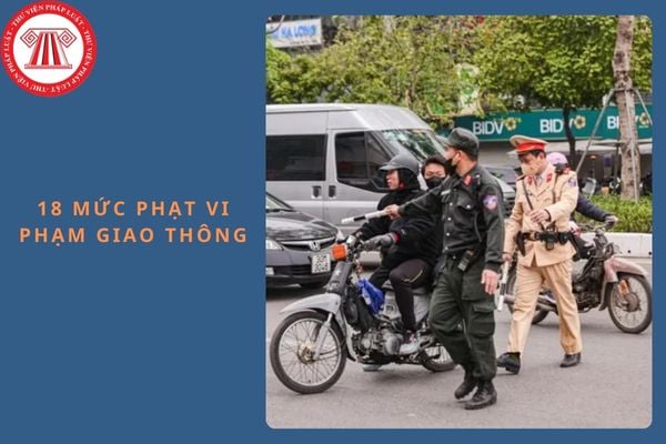 Pháp luật