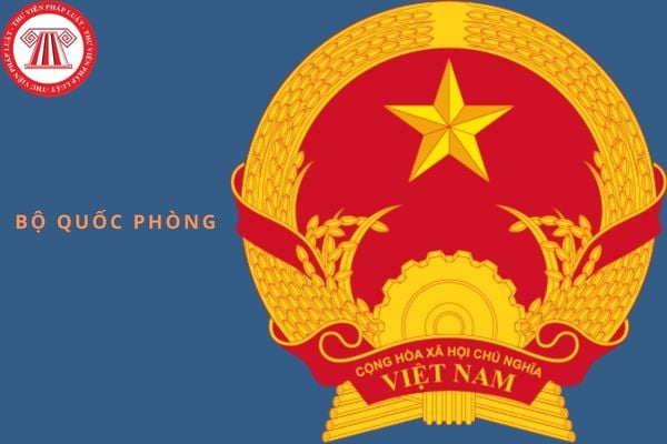 Pháp luật