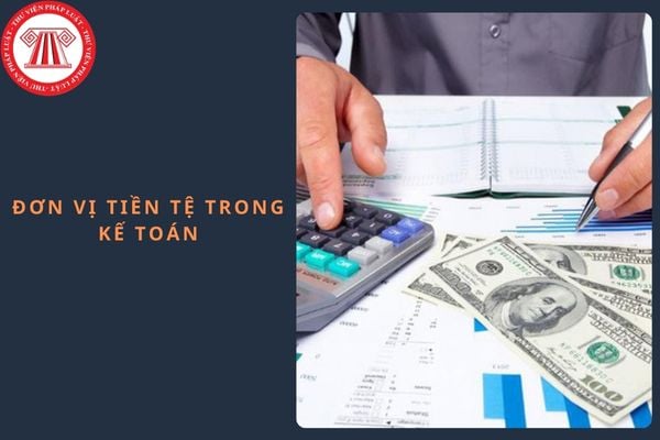 Đơn vị tiền tệ trong kế toán đối với doanh nghiệp nhỏ và vừa là gì? Lựa chọn Đơn vị tiền tệ như thế nào?