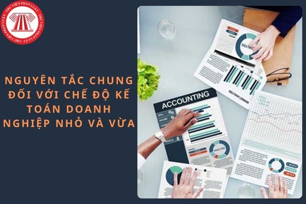 Thông tư 133/2016/TT-BTC áp dụng đối với đối tượng nào? Nguyên tắc chung đối với chế độ kế toán doanh nghiệp nhỏ và vừa thế nào?