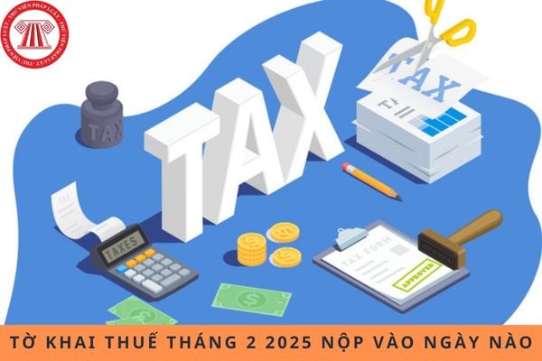 Tờ khai thuế tháng 2 2025 nộp vào ngày nào?