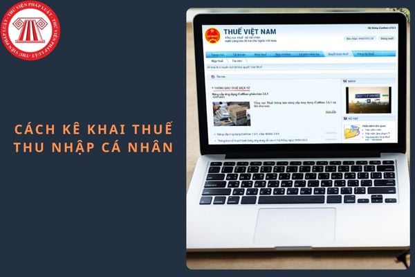 Pháp luật