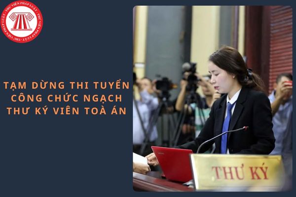 Pháp luật