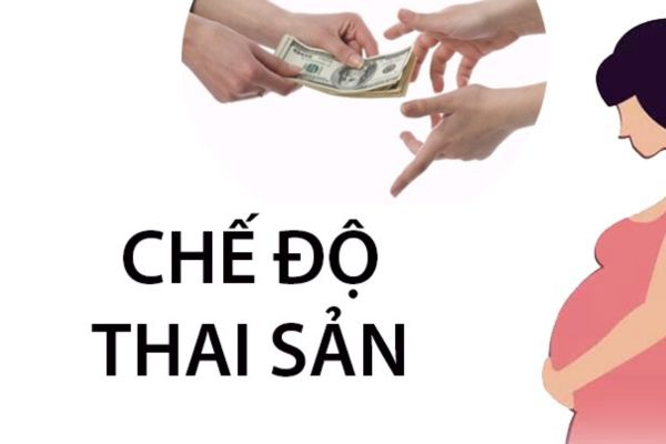 thuviennhadat.vn