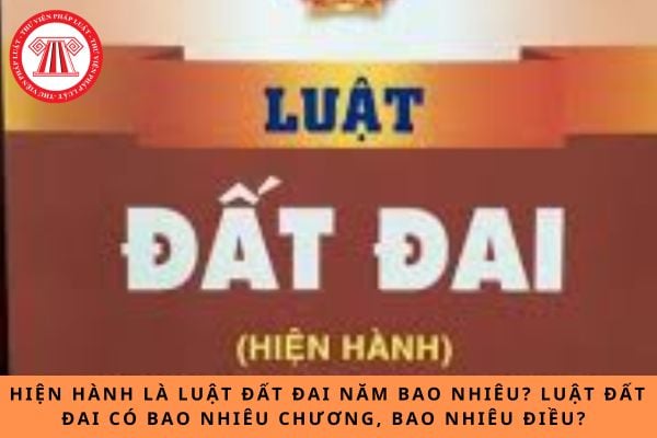 Pháp luật