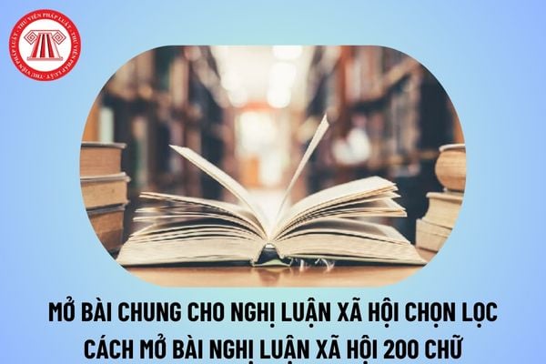 Mở bài chung cho nghị luận xã hội chọn lọc? Cách mở bài nghị luận xã hội 200 chữ? Đổi mới đánh giá HS trong môn Văn ra sao?