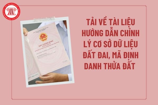 Pháp luật