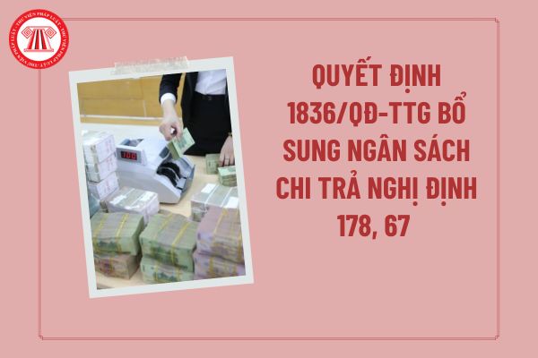 Pháp luật