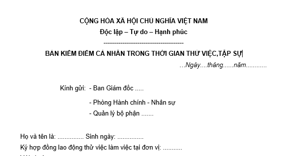 Mẫu bản kiểm điểm cá nhân trong thời gian thử việc, tập sự mới nhất?