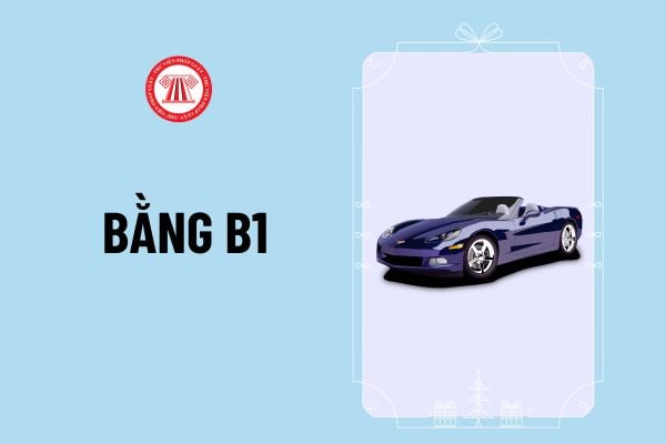 Bằng B1 lái xe gì? Thời hạn bằng B1 là bao lâu? Thời gian đào tạo bằng B1 từ 01/6/2024 bao nhiêu giờ?