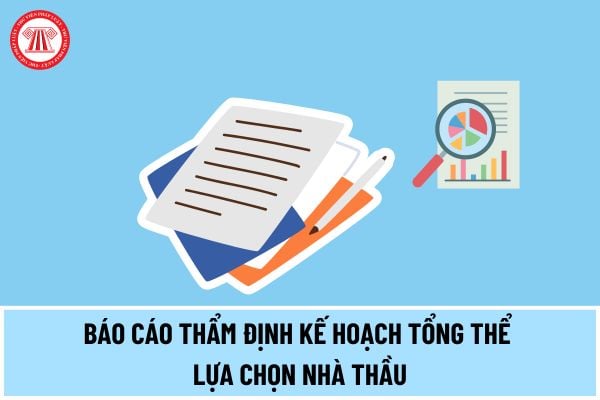 Mẫu Báo cáo thẩm định kế hoạch tổng thể lựa chọn nhà thầu theo Thông tư 06/2024/TT-BKHĐT thế nào?