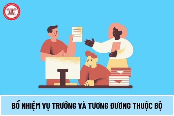 Vụ trưởng và tương đương thuộc Bộ là gì? Tiêu chuẩn bổ nhiệm Vụ trưởng và tương đương thuộc Bộ năm 2024 được quy định thế nào?