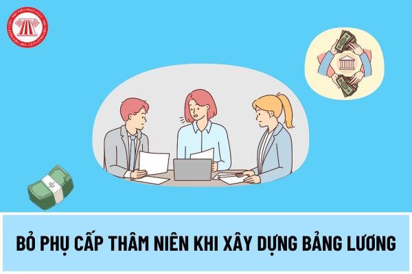 Bỏ phụ cấp thâm niên khi xây dựng bảng lương theo vị trí việc làm đối với nhóm đối tượng nào từ 01/7/2024 khi cải cách tiền lương?