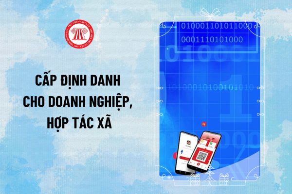 Cấp định danh cho doanh nghiệp, hợp tác xã đến 30/6/2025 phấn đấu đạt bao nhiêu phần trăm?