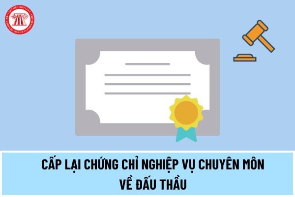 Mẫu đơn đề nghị cấp lại chứng chỉ nghiệp vụ chuyên môn về đấu thầu theo Thông tư 02/2024/TT-BKHĐT ra sao?