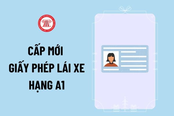 Thủ tục cấp mới giấy phép lái xe hạng A1 mới nhất 2024 thực hiện thế nào theo Quyết định 545/QĐ-BGTVT?