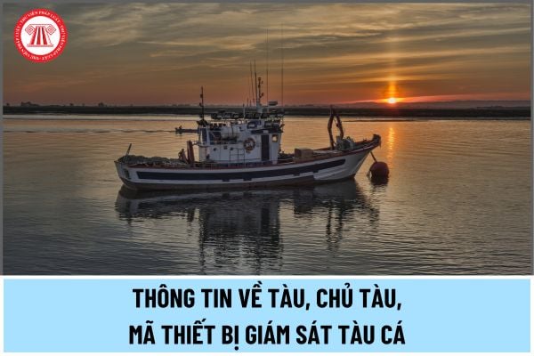 Cập nhật không chính xác thông tin về tàu, chủ tàu, mã thiết bị giám sát tàu cá vào phần mềm giám sát tàu cá phạt hành chính thế nào?