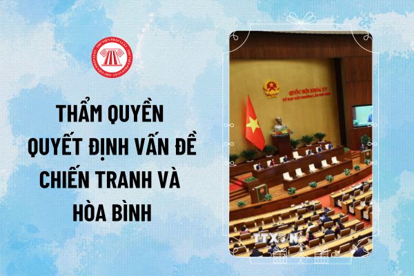 Pháp luật