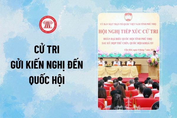 Pháp luật