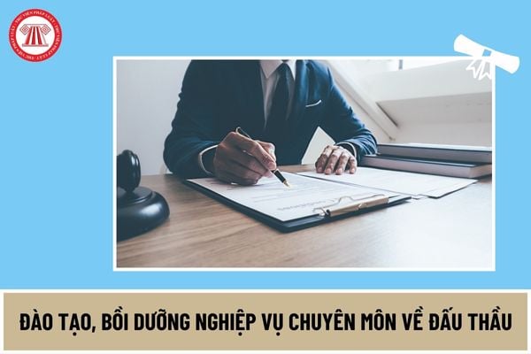 Chương trình khung đào tạo, bồi dưỡng nghiệp vụ chuyên môn về đấu thầu đối với lựa chọn nhà thầu gồm những nội dung gì nào?