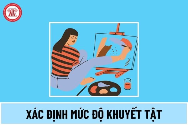 Mẫu đơn đề nghị xác định mức độ khuyết tật và cấp Giấy xác nhận khuyết tật mới nhất 2024 thế nào?