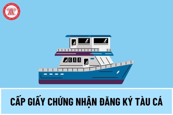 Thủ tục cấp Giấy chứng nhận đăng ký tàu cá mới nhất 2024 thế nào? Hồ sơ đăng ký tàu cá gồm những tài liệu gì?