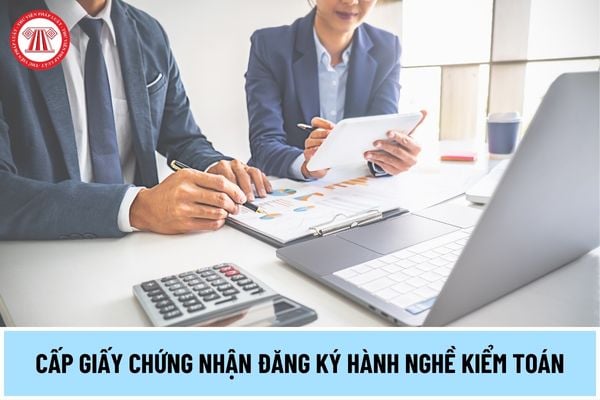 Mẫu đơn đề nghị cấp giấy chứng nhận đăng ký hành nghề kiểm toán từ ngày 01/7/2024 như thế nào?