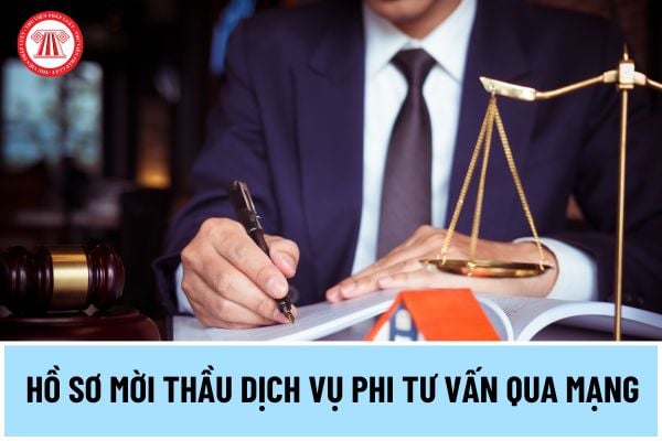 Tổng hợp mẫu hồ sơ mời thầu dịch vụ phi tư vấn qua mạng theo Thông tư 06/2024/TT-BKHĐT ra sao? 