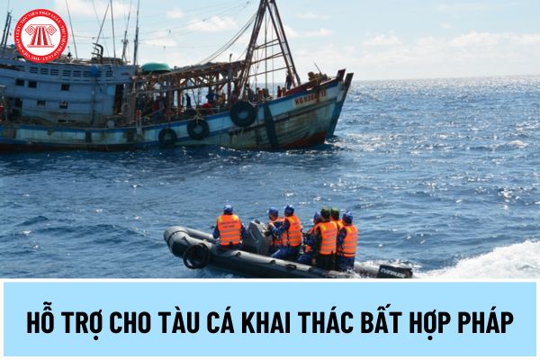 Vi phạm chuyển tải thủy sản hoặc hỗ trợ cho tàu cá khai thác bất hợp pháp bị xử phạt hành chính thế nào?