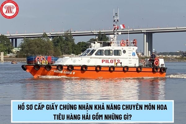 Hồ sơ cấp giấy chứng nhận khả năng chuyên môn hoa tiêu hàng hải gồm những gì? 