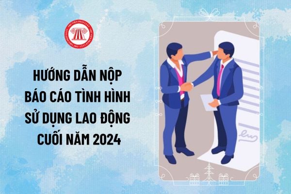 Hướng dẫn nộp báo cáo tình hình sử dụng lao động cuối năm 2024 trực tuyến và trực tiếp thế nào?